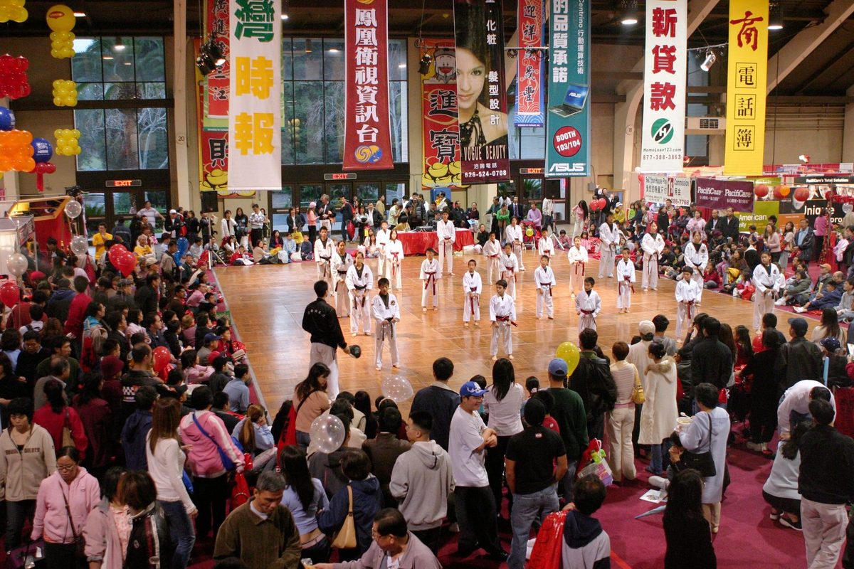 A martial arts group demonstration