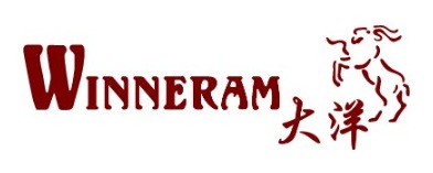WINNERAM